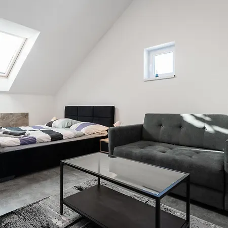 Apartment Modrany