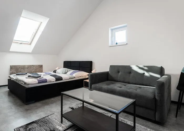 Apartment Modrany